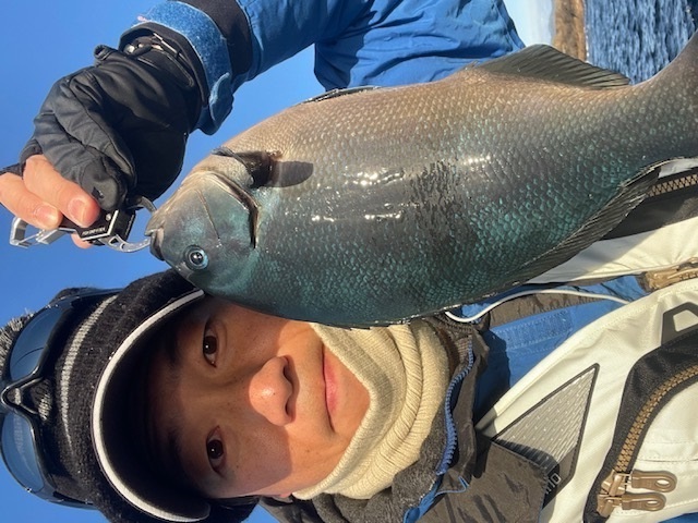 和歌山県串本大島須江の磯釣りでグレ釣果