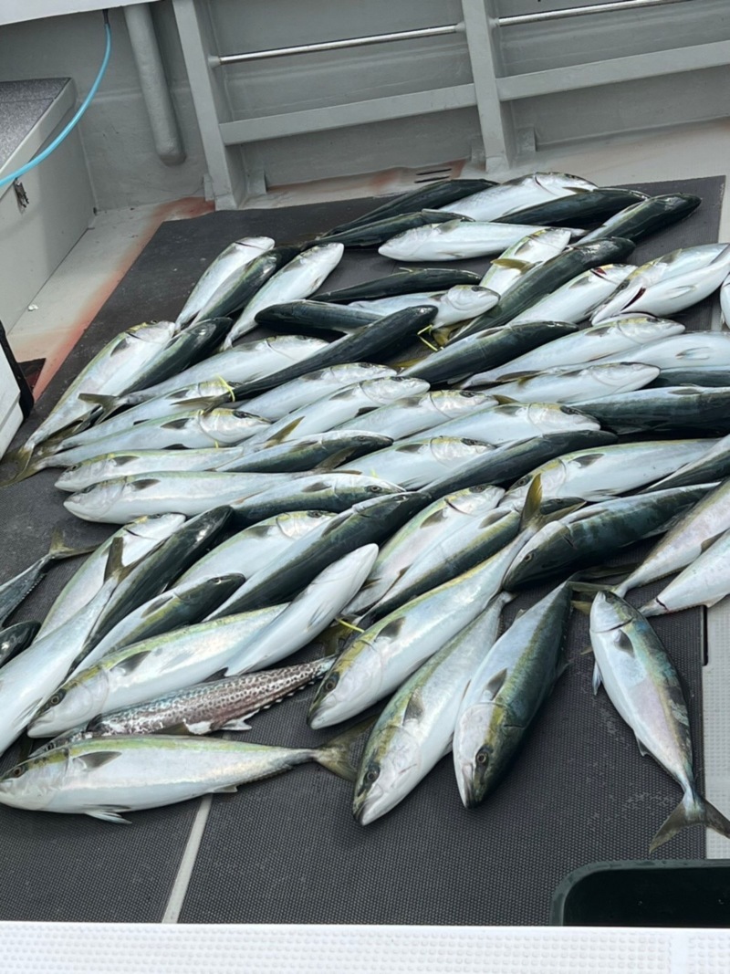 兵庫県南あわじ市沼島のジギングでブリ釣果