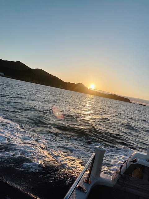 和歌山県すさみ町よりトンジギでビンチョウマグロ釣果