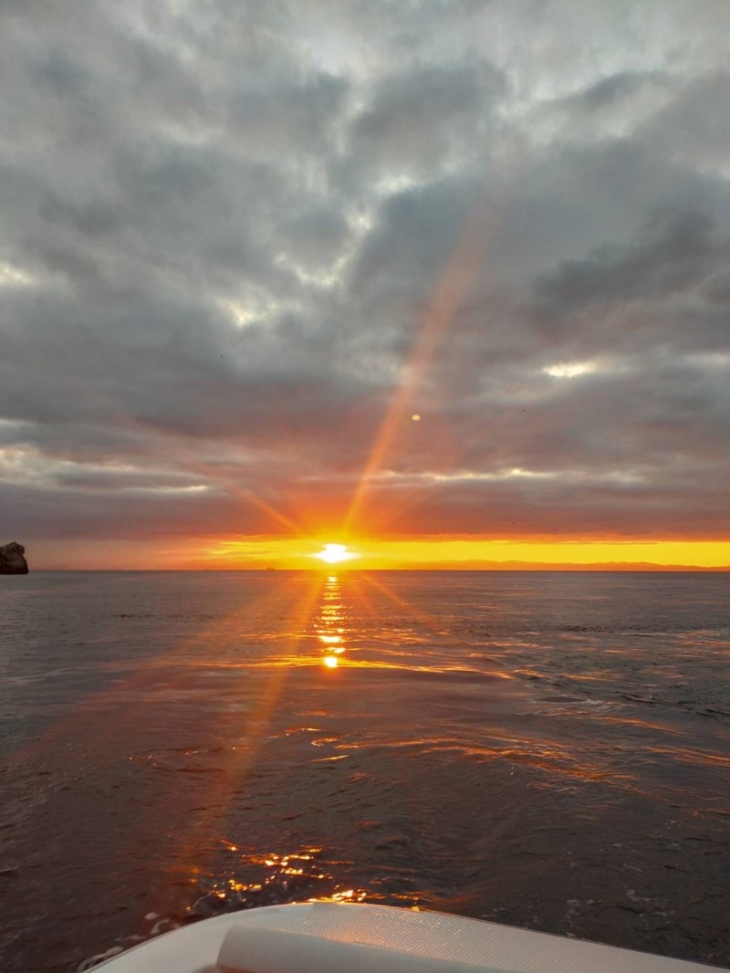 兵庫県南あわじ市沼島の磯釣りでチヌ コブダイ カワハギ釣果