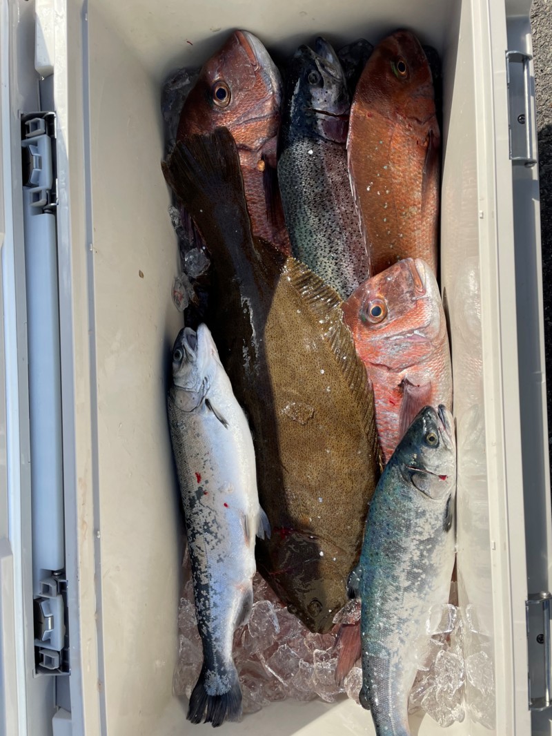 兵庫県姫路の海上釣り堀 水宝で真鯛、サーモン、ヒラメ釣果