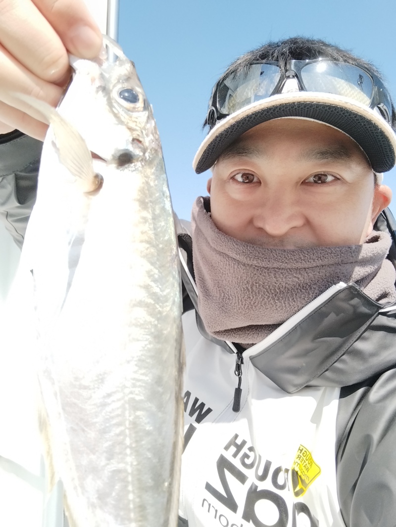 和歌山県比井より船釣りでラングイ寒サバ釣果
