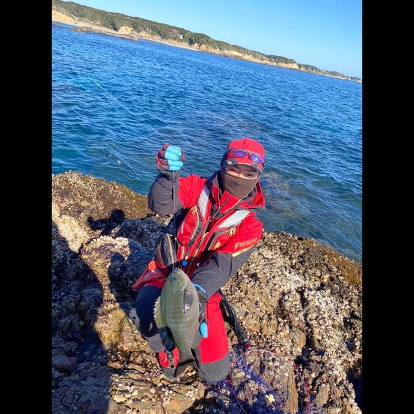 三重県錦&御座の磯釣りでグレ釣果
