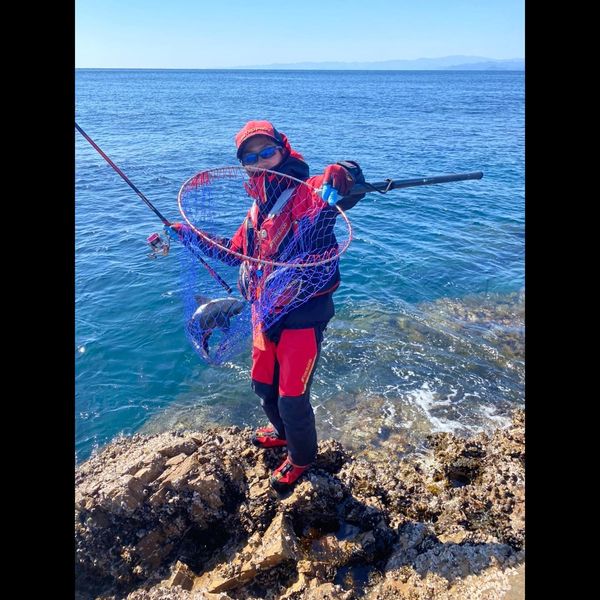 三重県錦&御座の磯釣りでグレ釣果