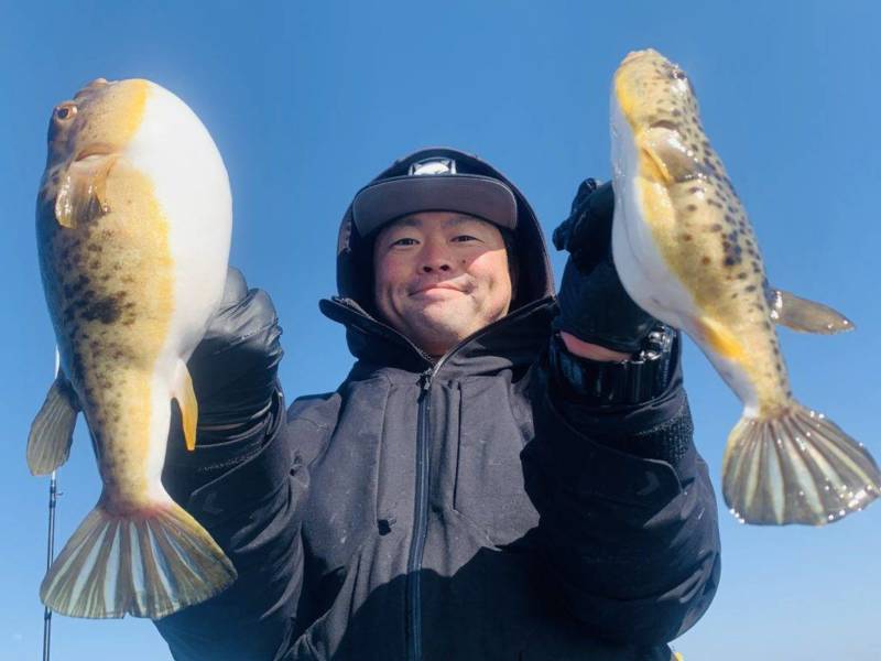 兵庫県明石市の船釣りでアカメフグ(ヒガンフグ)釣果