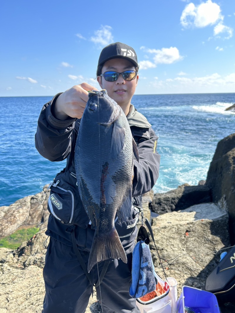 和歌山県串本の磯釣りでグレ釣果