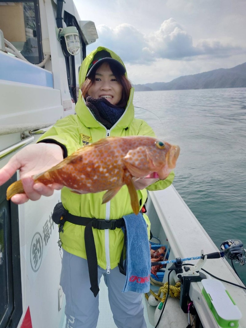 福井県世久見の船釣り胴突き五目でガシラ、マハタ釣果