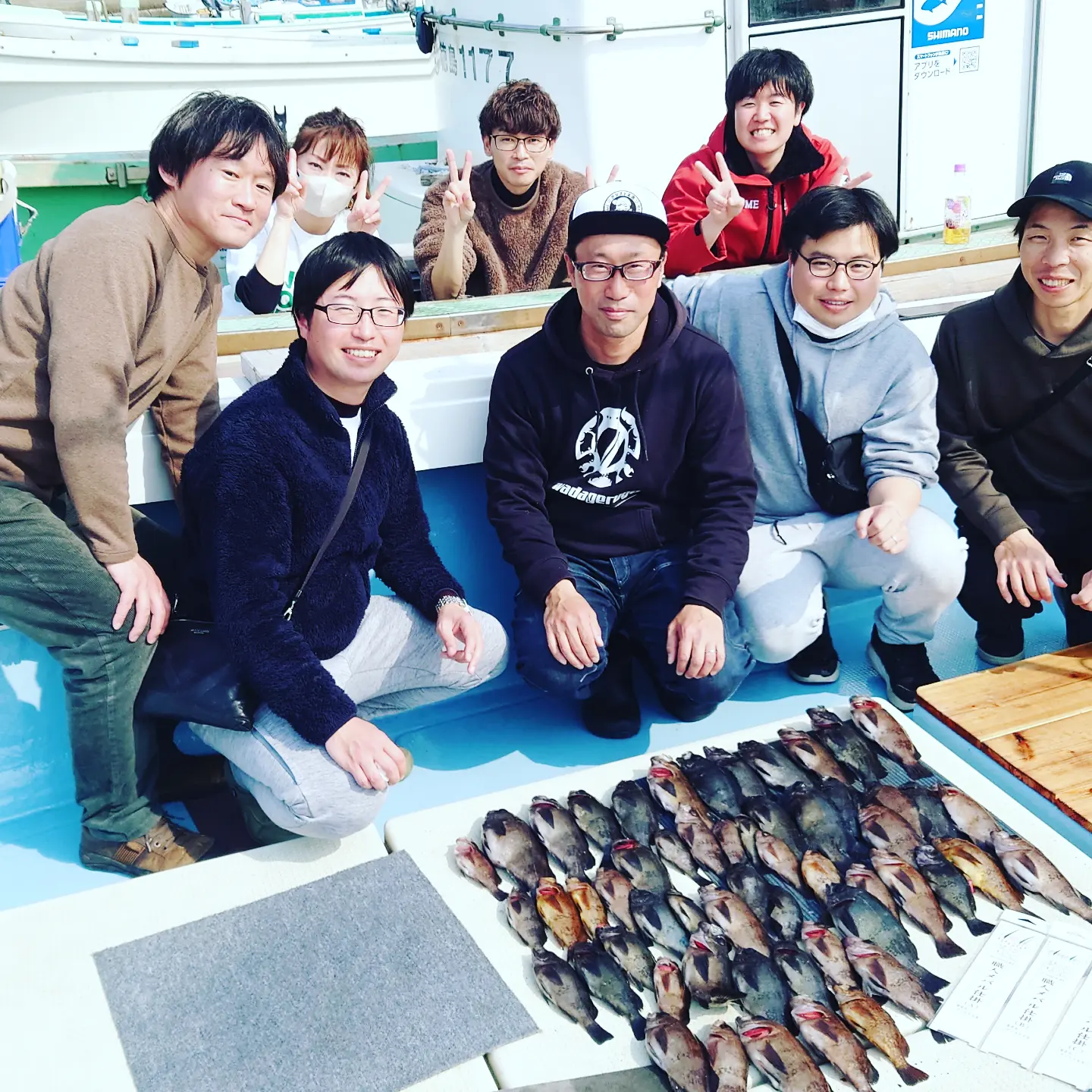 徳島県鳴門の船メバルサビキでメバル釣果