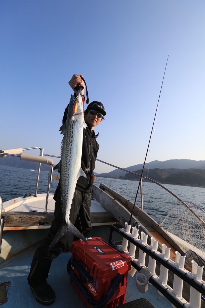 京都府舞鶴市よりボートブレードジギングでサワラ青物釣果
