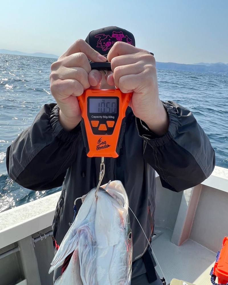 京都府宮津丹後の青物ジギングでブリ釣果