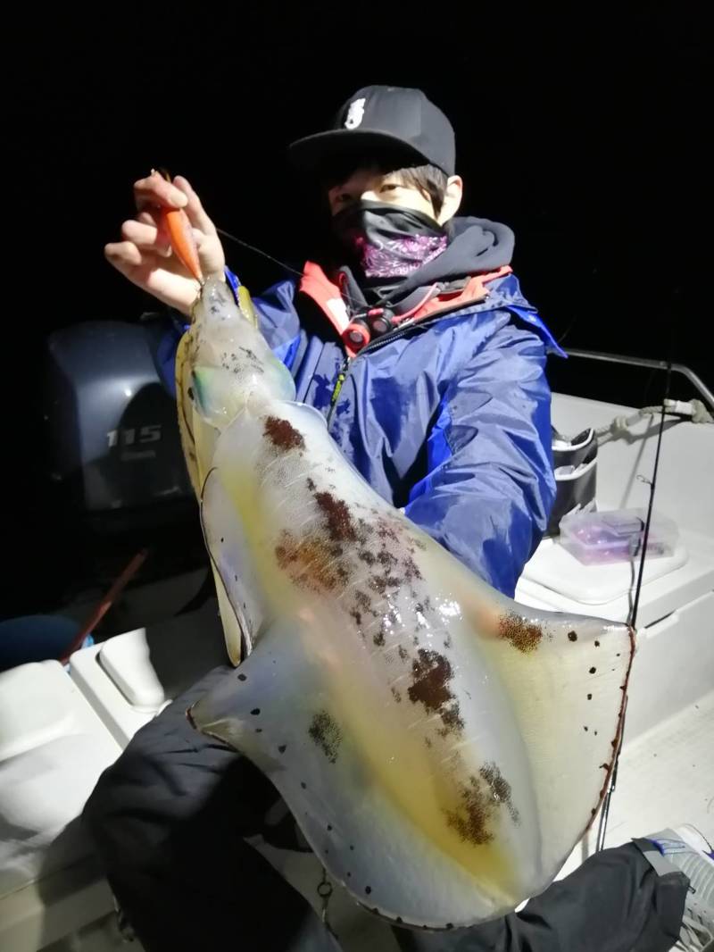 和歌山田辺のボートエギングでアオリイカ釣果