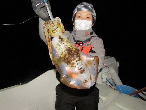 和歌山田辺のボートエギングでアオリイカ釣果