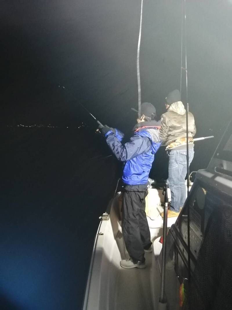 和歌山田辺のボートエギングでアオリイカ釣果
