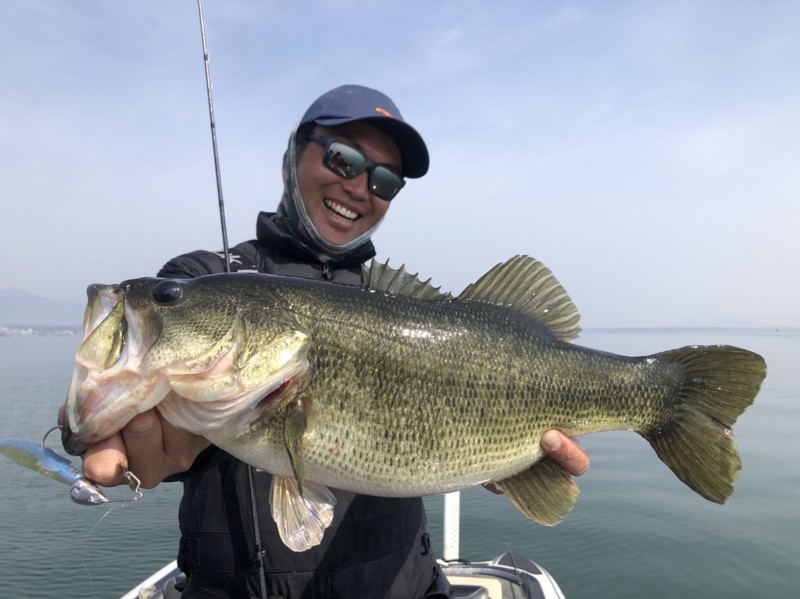 滋賀県琵琶湖南湖を宮廣プロガイドで春のデカバス釣果