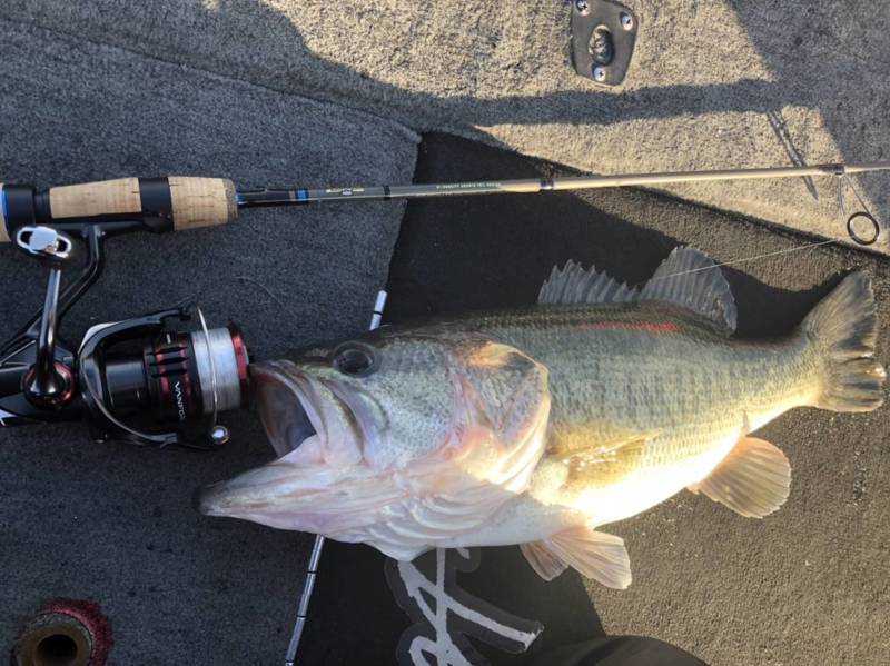 滋賀県琵琶湖の児島ガイドでボートバス釣果
