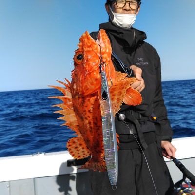 京都西舞鶴よりキャスティングとジギングで青物オニカサゴ釣果