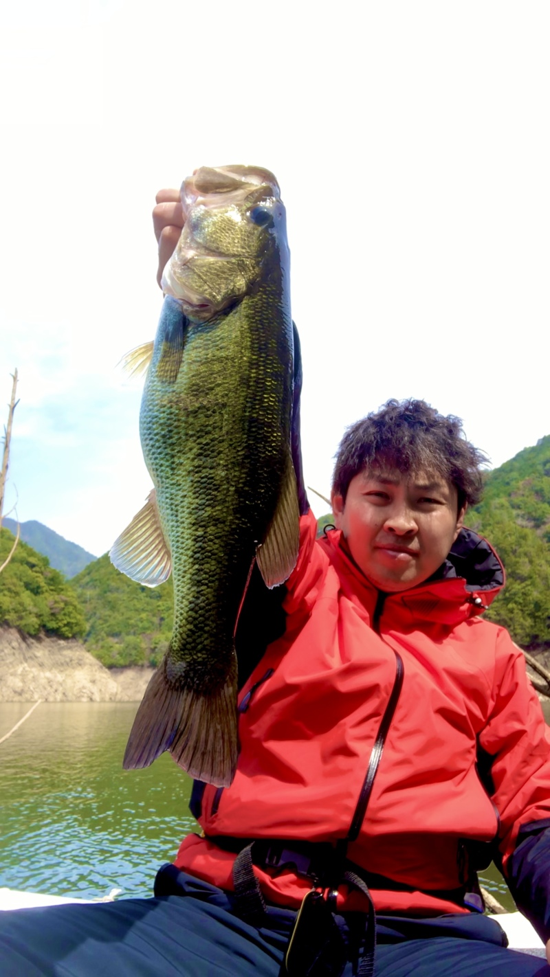 奈良県池原ダムのレンタルボートでブラックバス釣果