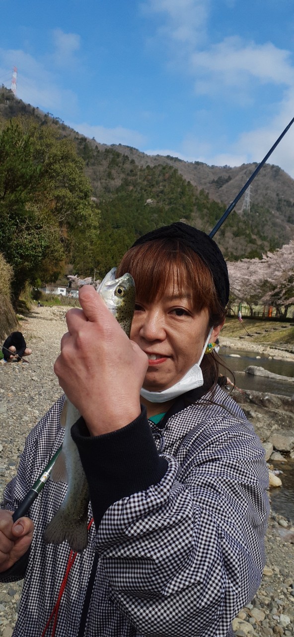 兵庫県三田市小柿渓谷のエサ・ルアーでアマゴ・トラウト釣果