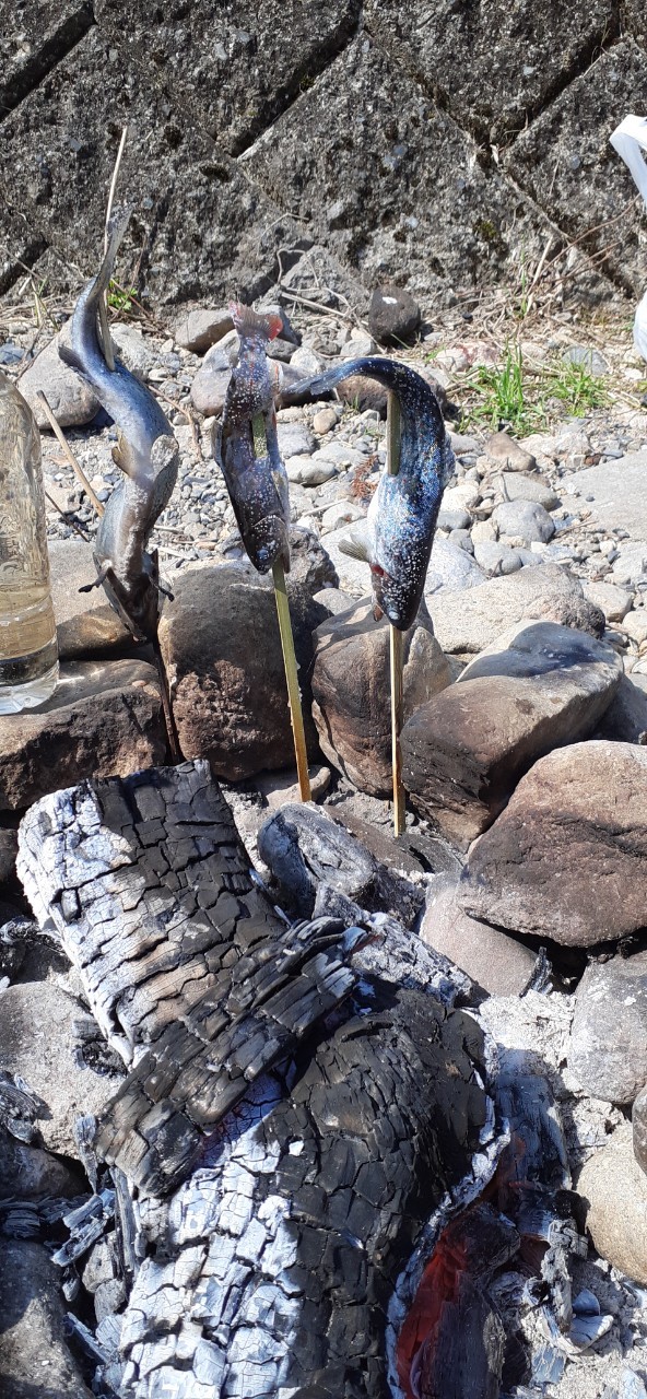 兵庫県三田市小柿渓谷のエサ・ルアーでアマゴ・トラウト釣果