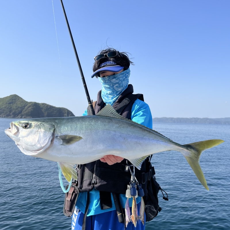 和歌山県ショアプラッキングでブリ釣果