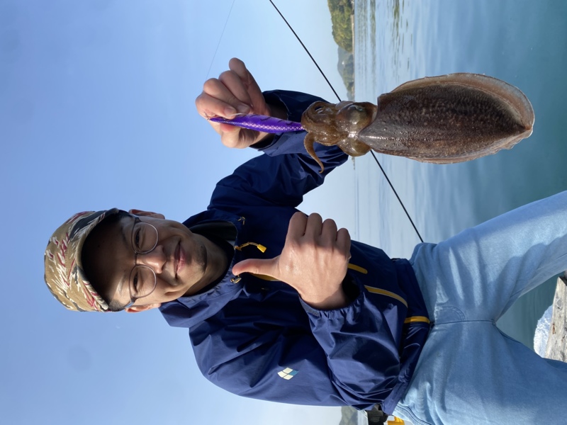 三重県南伊勢にて筏の五目釣りでアオリイカ、根魚釣果