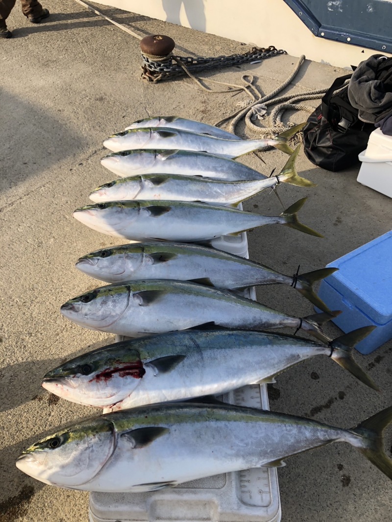 京都府京丹後市網野からジギングで鰤釣果