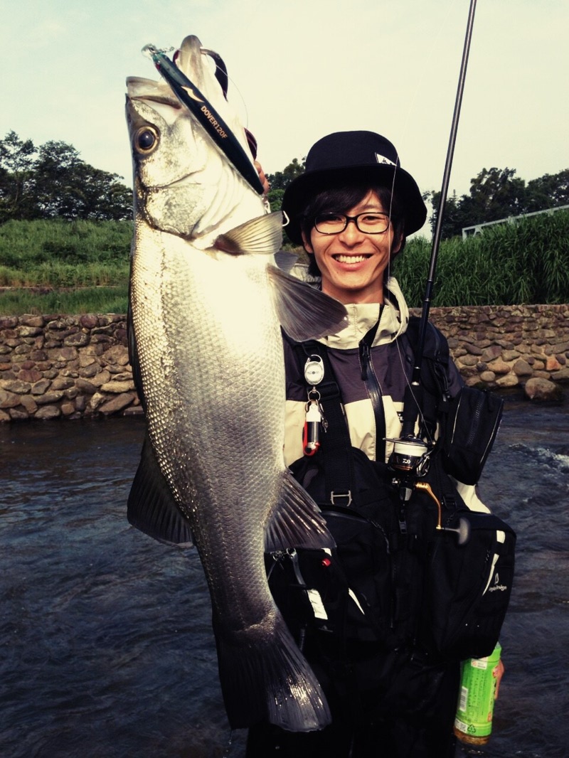 高知県宿毛|四万十でシーバス釣果