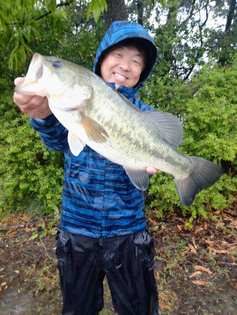 香川県讃岐地方のオカッパリでバス釣果