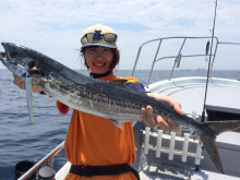 「和歌山県」ジギング・鰆、シイラ、メジロ、サバ、イサキ釣果