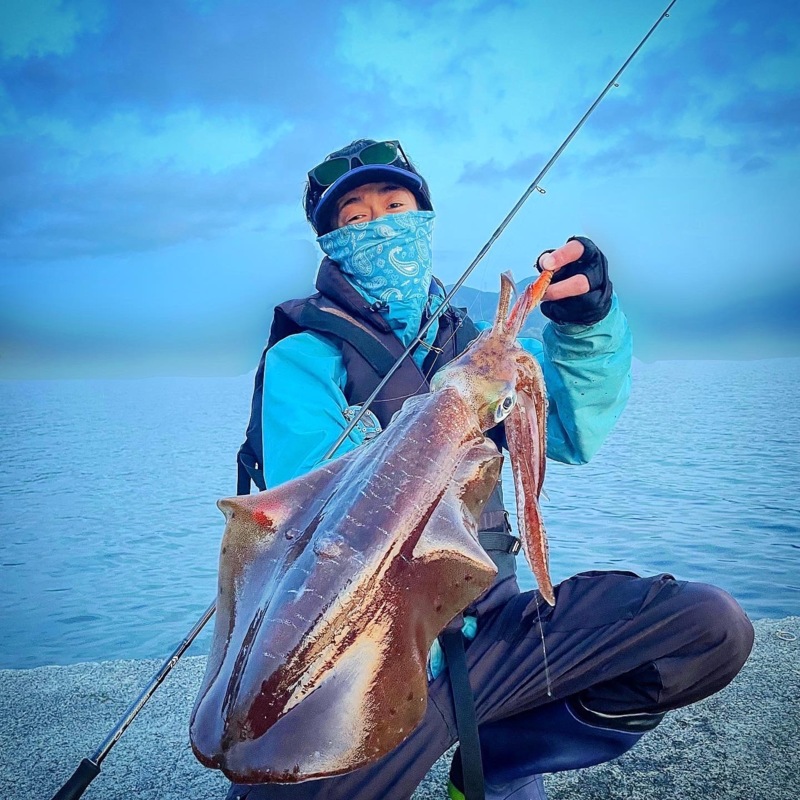 福井県エリアをランガンエギングでアオリイカ釣果