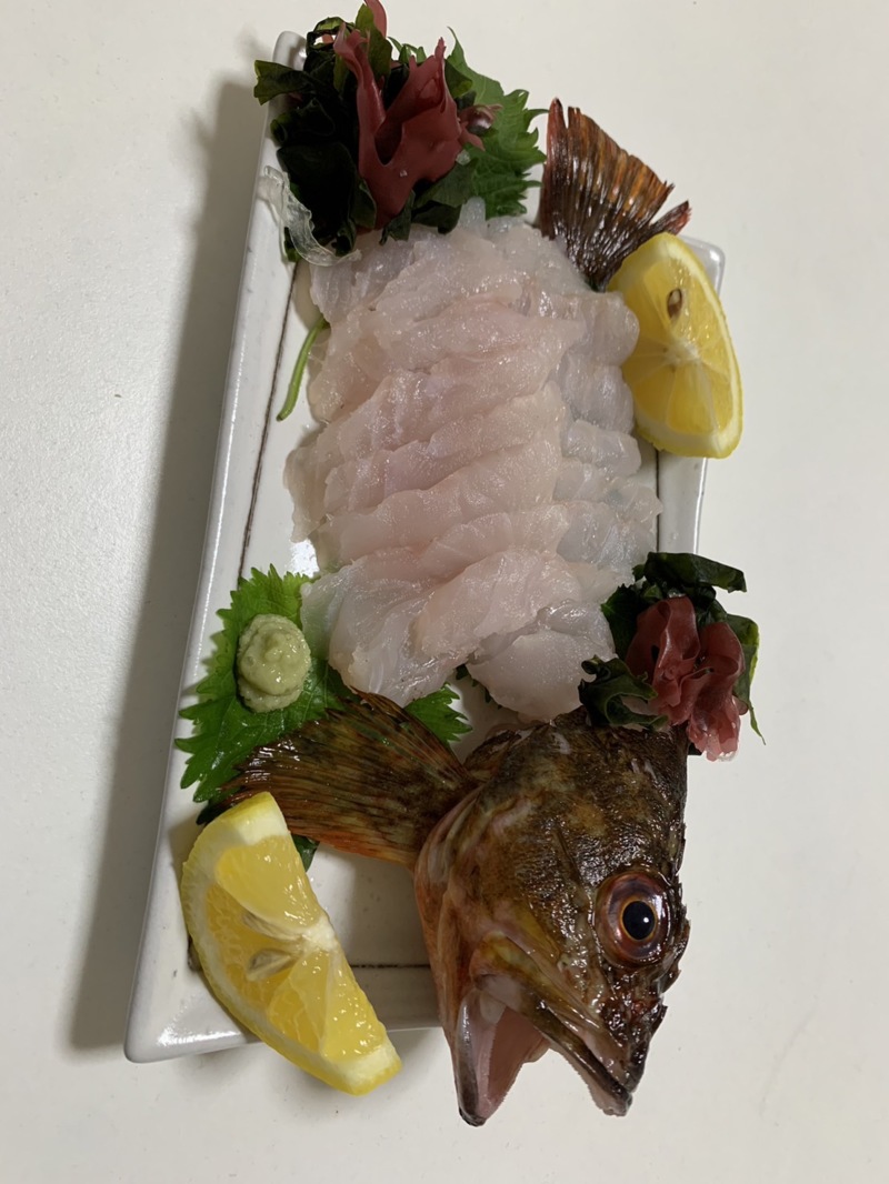 兵庫明石・東二見の近藤丸のエサ釣りでカサゴ釣果