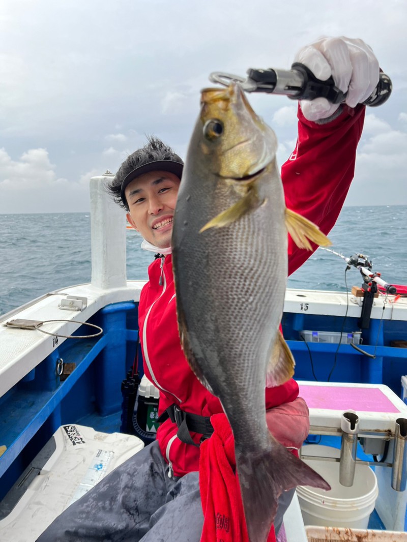 和歌山県比井の船釣りで初夏の麦わらイサキ釣果