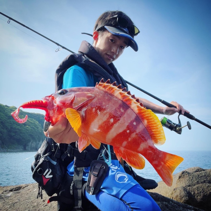 三重県ショアロックゲームのスイミングででアカハタ釣果