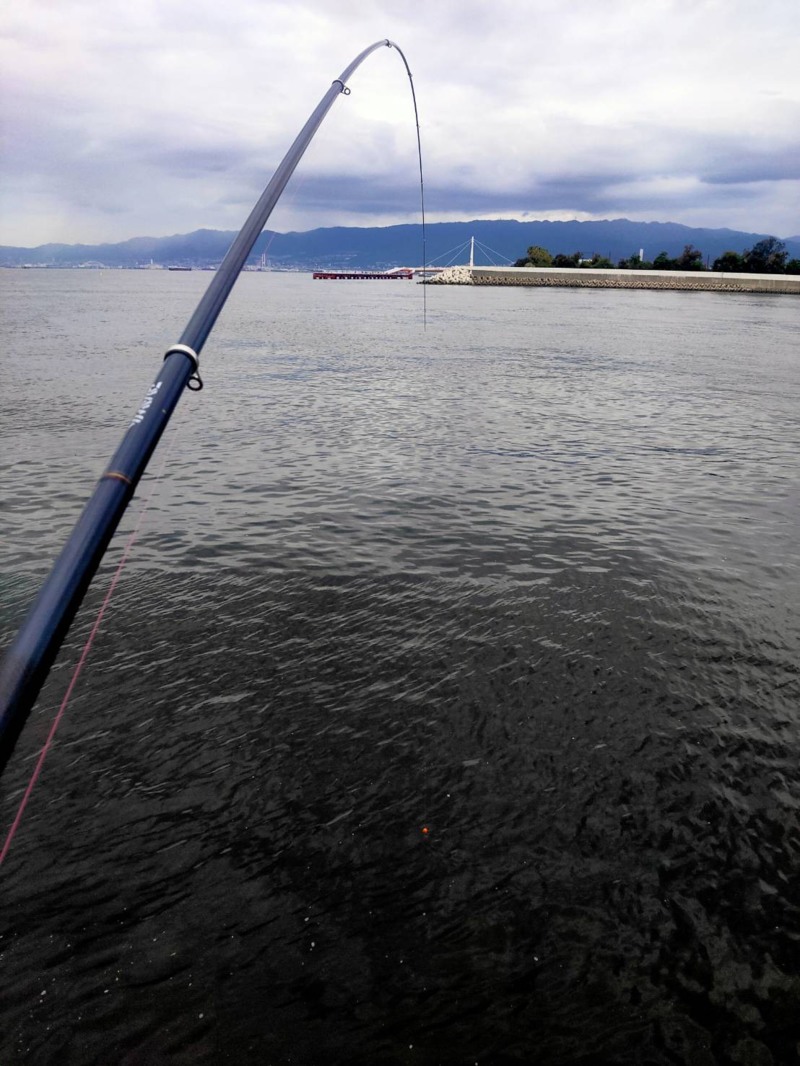 尼崎市武庫川町フェニックスのフカセ釣りで大チヌ釣果