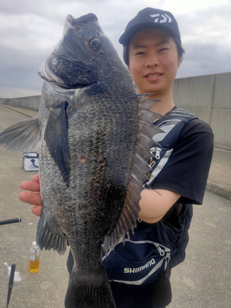 尼崎市武庫川町フェニックスのフカセ釣りで大チヌ釣果