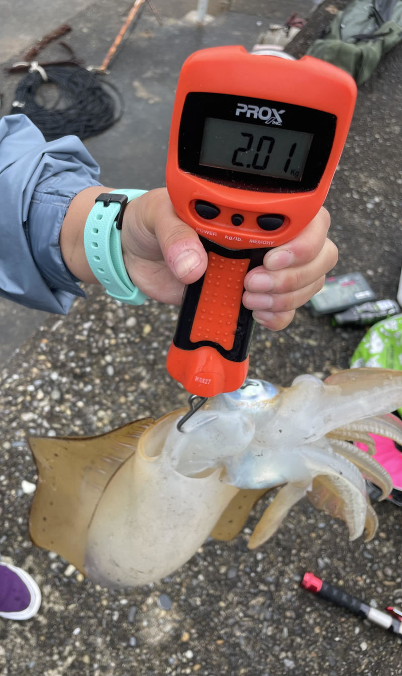 和歌山へヤエン釣りに行ってきました!