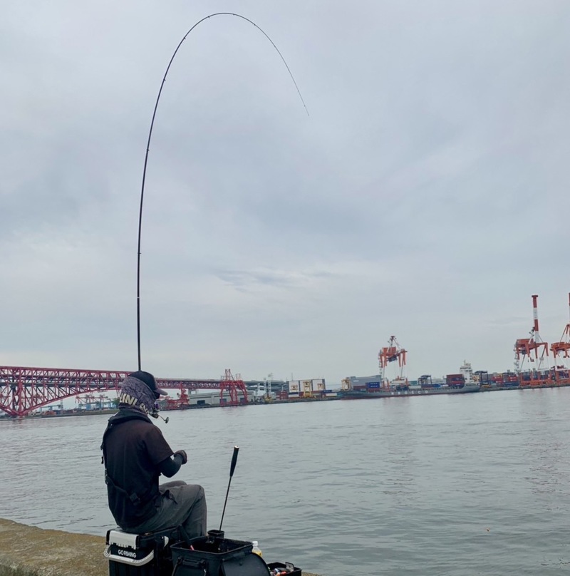 大阪北港 湾チヌ