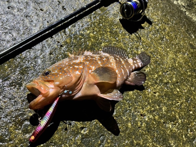 富山遠征釣行記第一弾!