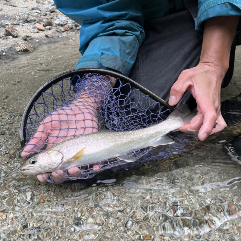 富山遠征釣行記第二弾!