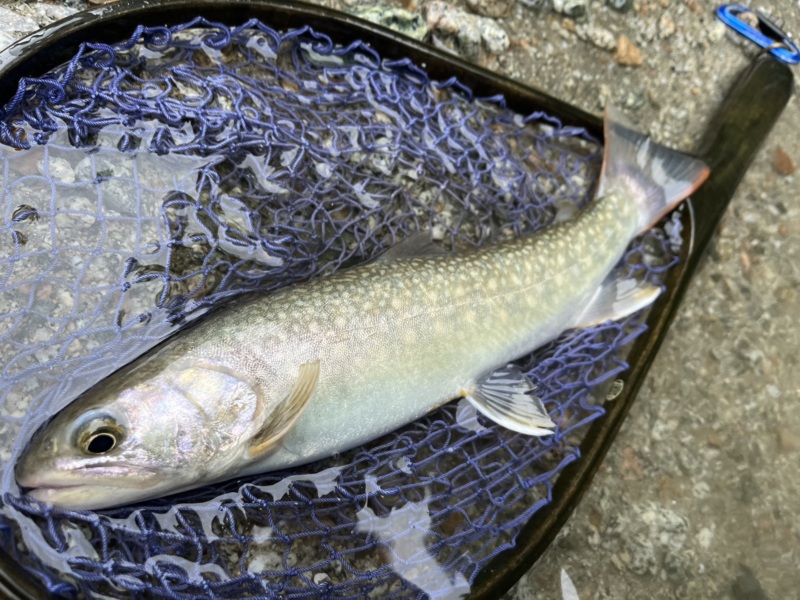 富山遠征釣行記第二弾!