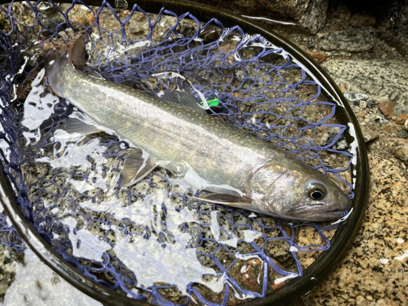 富山遠征釣行記第二弾!