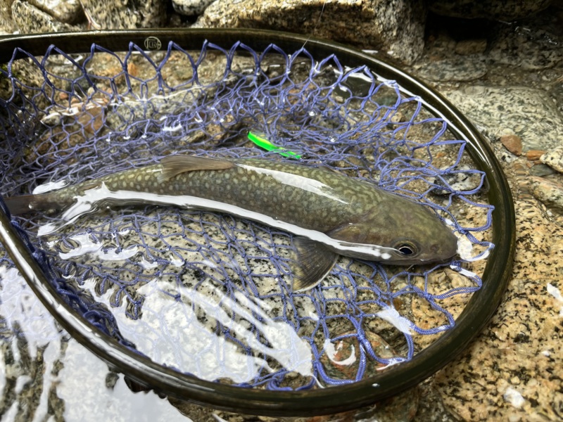 富山遠征釣行記第二弾!