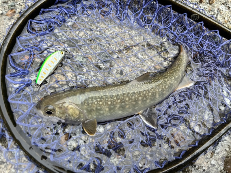 富山遠征釣行記第二弾!