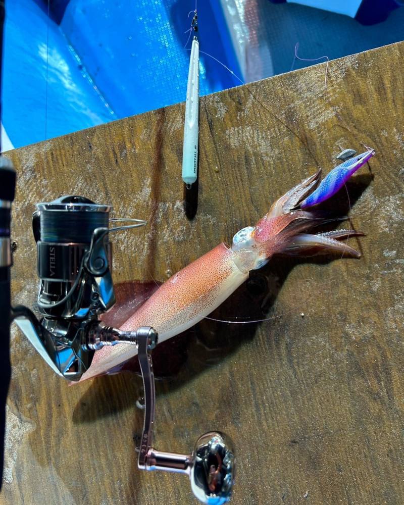 日本海イカメタル