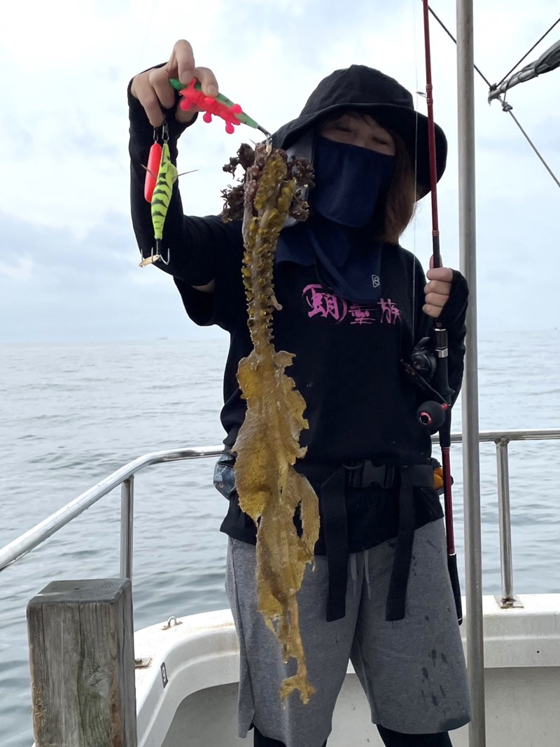 タコ釣りin明石