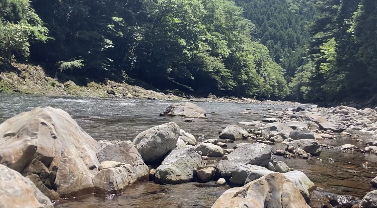 出足不調だった日高川上流『鮎釣り』調査