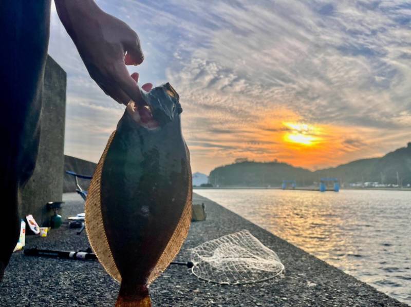 堤防のませでヒラメ!!