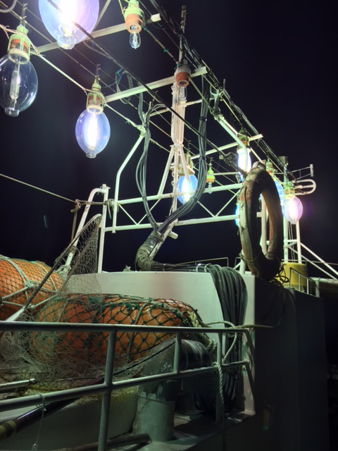 「鳥取県」鳥取港・勝栄丸|イカメタルでマイカ釣果