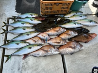 鳴門の落とし込み釣り