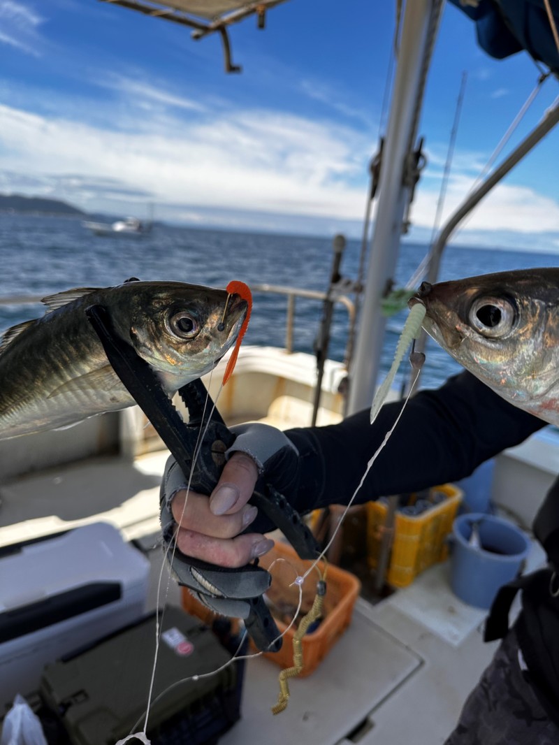 7/20明石ジギング、バチコン